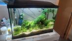 Aquarium met 15 tal guppies, Dieren en Toebehoren, Vissen | Aquaria en Toebehoren, Ophalen, Zo goed als nieuw