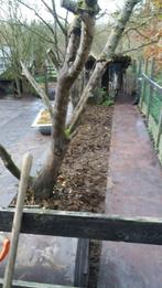 rubbermatten in paddock leggen, Weidegang