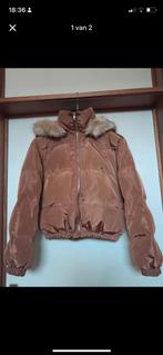 Winterjas, Kleding | Dames, Wintersportkleding, Ophalen, Zo goed als nieuw, Maat 36 (S)