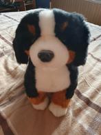 Berner senner knuffel, Kinderen en Baby's, Speelgoed | Knuffels en Pluche, Ophalen of Verzenden, Nieuw