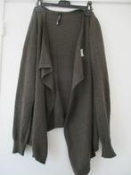 Trui/jasje Pepe Jeans, Maat 38/40 (M), Ophalen of Verzenden, Zo goed als nieuw, Pepe Jeans