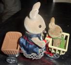 Sylvanian gezinsfiets, Kinderen en Baby's, Speelgoed | Poppenhuizen, Ophalen of Verzenden, Zo goed als nieuw