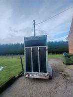 Veetrailer, Dieren en Toebehoren, Pony's