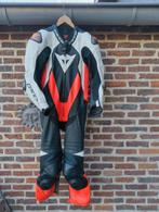 Dainese 1 delig racepak met protectie, maat 52 (als nieuw), Ophalen, Dainese, Heren, Overall