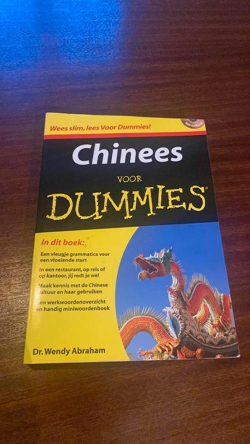 Wendy Abraham - Chinees voor Dummies, Boeken, Taal | Overige Talen, Zo goed als nieuw, Ophalen