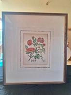 Botanische bloemenprent “Rosa” – ingelijst met passe-partout, Ophalen