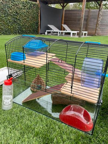 Hamsterkot + spulletjes beschikbaar voor biedingen
