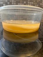 Kombucha scoby met startervloeistof, Diversen, Levensmiddelen, Ophalen