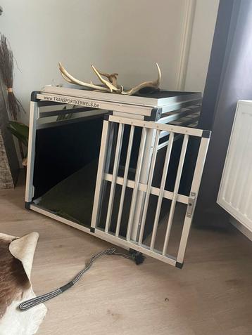 Transportkennel beschikbaar voor biedingen