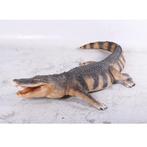 American Alligator – Krokodil beeld Lengte 241 cm, Ophalen, Nieuw