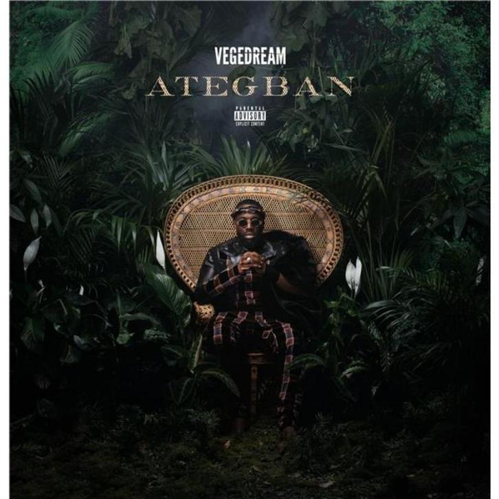 CD VEGEDREAM-ATEGBAN, Cd's en Dvd's, Cd's | Pop, Ophalen of Verzenden