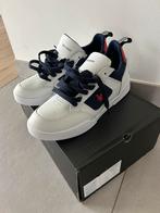 Chaussures Lyle & Scott pour homme (taille 43), Vêtements | Hommes, Chaussures, Enlèvement, Neuf