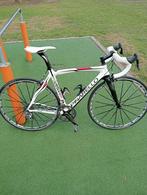 Racefiets pinarello dogma, Fietsen en Brommers, Overige merken, 28 inch, Carbon, Heren