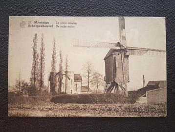 Postkaart Scherpenheuvel Molen Windmolen Moulin beschikbaar voor biedingen