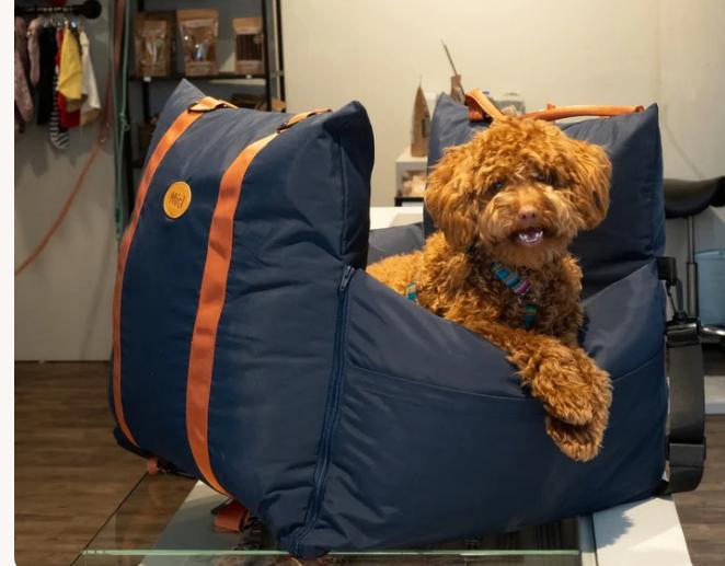 AUTOSTOEL VOOR HONDEN, Dieren en Toebehoren, Honden-accessoires, Zo goed als nieuw, Ophalen