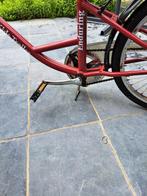 Vélo suiveur, Fietsen en Brommers, Fietsaccessoires | Aanhangwagens en Karren, Ophalen, Zo goed als nieuw, Aanhangfiets