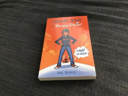 L’incroyable histoire de Benoit-Olivier de Brouillette, Livres, Livres pour enfants | Jeunesse | 10 à 12 ans, Comme neuf, Fiction