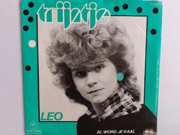 Trijntje - Leo beschikbaar voor biedingen