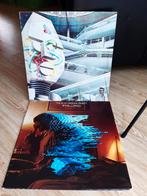 2 vinyles The Alan Parsons "Project pyramid ","I robot"., Ophalen