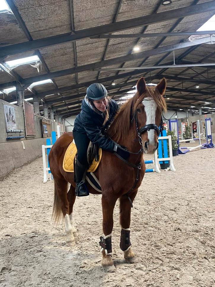 springruiter gezocht, Dieren en Toebehoren, Paarden en Pony's | Verzorgingsproducten, Zo goed als nieuw, Ophalen of Verzenden