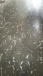 Gyproc/Carrelage/pintur, Offres d'emploi