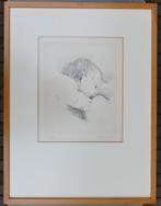 Lieven Walschap : Gravure sur laiton d'un enfant (54x41 cm), Enlèvement ou Envoi
