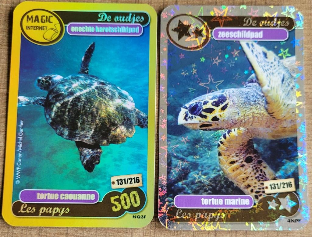 2 fotokaarten: schildpadden, 1980 tot heden, Ophalen of Verzenden, Zo goed als nieuw, Dier