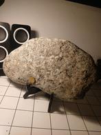 Fossiele schelpen houdende massa, Verzamelen, Mineralen en Fossielen, Ophalen of Verzenden, Fossiel