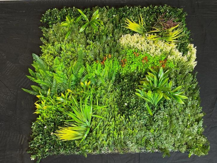 Kunsthaag 100x100 cm, Huis en Inrichting, Woonaccessoires | Kunstplanten en Kunstbloemen, Nieuw, Binnen, Buiten, Ophalen of Verzenden