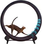 Loopband voor katten, Dieren en Toebehoren, Kattenspeelgoed, Ophalen, Zo goed als nieuw