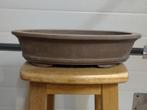 Bonsai pot, Tuin en Terras, Bloempotten, Ophalen