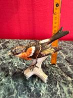 Hummel - Geubel Bergvink jaar 1967 zeldzaam