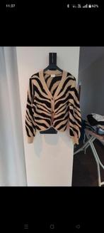 Leuke gilet, Kleding | Dames, Vila, Ophalen of Verzenden, Zo goed als nieuw, Maat 38/40 (M)