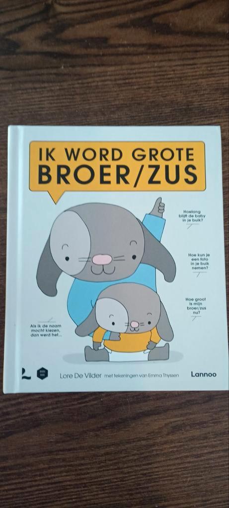 Lore De Vilder - Ik word grote broer/zus, Boeken, Mode, Zo goed als nieuw, Ophalen