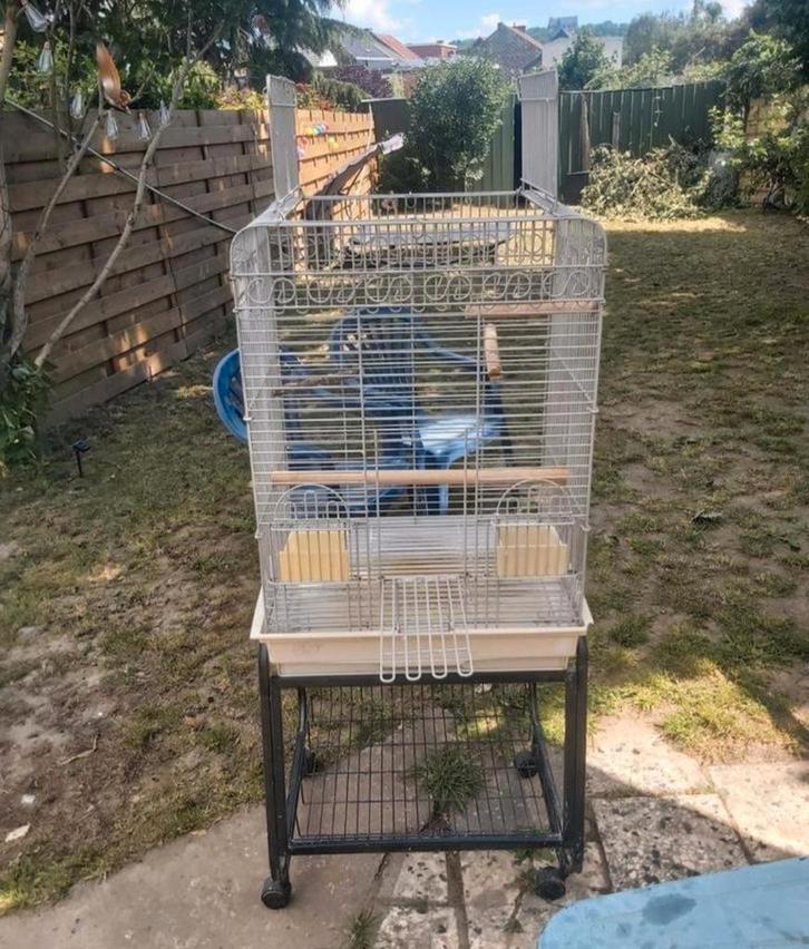 Volière, Animaux & Accessoires, Oiseaux | Cages & Volières, Comme neuf, Volière, Enlèvement