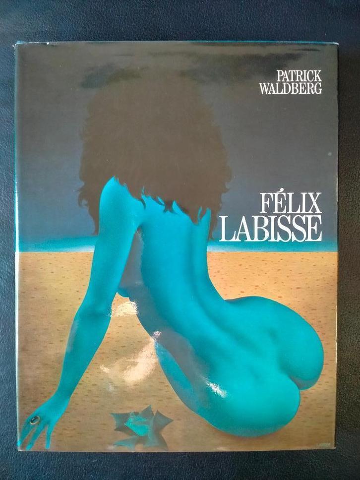 Felix Labisse, Boeken, Kunst en Cultuur | Beeldend, Zo goed als nieuw, Schilder- en Tekenkunst, Ophalen of Verzenden