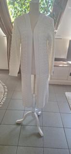 Prachtige lange golf, cardigan, vest  mt S/M, Kleding | Dames, Ophalen of Verzenden, Zo goed als nieuw