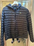 Lacoste gevoerde vest maat large, Maat 52/54 (L), Lacoste, Blauw, Zo goed als nieuw