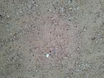 zand met schelpjes, Tuin en Terras, Ophalen