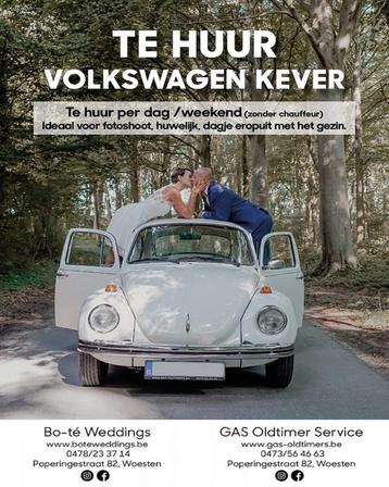Prachtige Vw kever te huur  beschikbaar voor biedingen