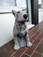 beeld van Bull Terrier in beton., Zo goed als nieuw, Ophalen