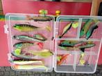 Roofvis aasjes in dooje, Watersport en Boten, Ophalen, Zo goed als nieuw