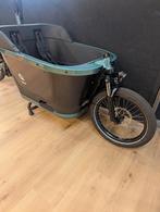 CARQON CRUISE E2, Nieuw, 2 kinderen, Elektrisch, Ophalen