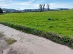 Weide, weiland te koop in Viroinval ( Couvin, Philippeville)