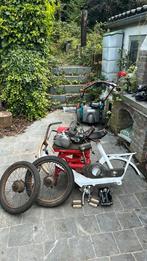 Moto guzzi 40cc, Motoren, Motoren | Moto Guzzi, Particulier