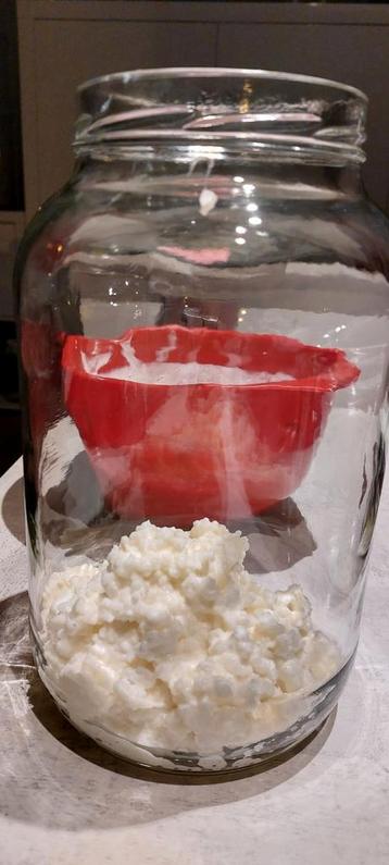 levende melk kefir bloemetjes beschikbaar voor biedingen