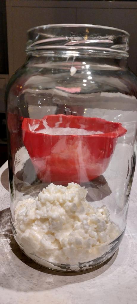 levende melk kefir bloemetjes, Diversen, Levensmiddelen, Ophalen of Verzenden