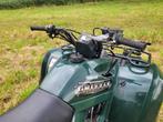 Yamaha grizzly 300 quad 2012, Motoren