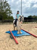 Brave recreatie c pony, Dieren en Toebehoren