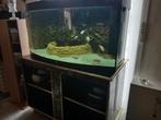 Aqarium met kast, Enlèvement, Comme neuf